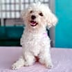 Thumbnail photo of Cutie #3