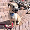 Thumbnail photo of Alfred #1
