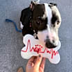 Thumbnail photo of Tinsel #4