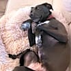Thumbnail photo of Fiona #2