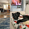 Thumbnail photo of Fiona #1