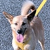 Thumbnail photo of Pumba #2