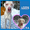Thumbnail photo of Ares (22-106 with Luna) #1