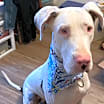 Thumbnail photo of Darla Jean #1