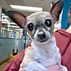 Thumbnail photo of Ellie Sue #2