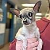 Thumbnail photo of Ellie Sue #3