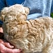 Thumbnail photo of CARLEY #2