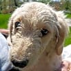 Thumbnail photo of CARLEY #3