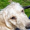Thumbnail photo of CARLEY #4