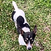 Thumbnail photo of Puddles #1