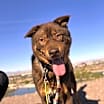 Thumbnail photo of Bear (Courtesy post) #4