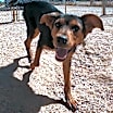 Thumbnail photo of Cohen #3