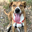 Thumbnail photo of Buddy #2
