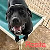 Thumbnail photo of Rosita #1