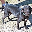 Thumbnail photo of Rosita #4