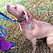 Thumbnail photo of Diamond #3