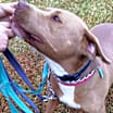 Thumbnail photo of Diamond #4