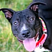 Thumbnail photo of Sabrina #3