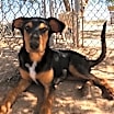 Thumbnail photo of Casey #1