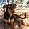 Thumbnail photo of Casey #2