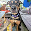 Thumbnail photo of KEEWEE #1