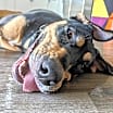 Thumbnail photo of KEEWEE #2