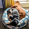 Thumbnail photo of KEEWEE #3