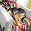 Thumbnail photo of KEEWEE #4