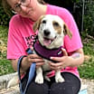 Thumbnail photo of Champ #2