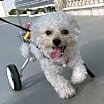 Thumbnail photo of Cutie #2