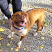 Thumbnail photo of Mabel #1