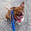 Thumbnail photo of Mabel #2