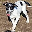 Thumbnail photo of Titch #1