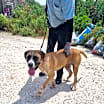 Thumbnail photo of Maggie #1