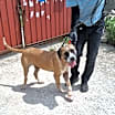 Thumbnail photo of Maggie #3