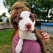 Thumbnail photo of Anna Marie #1