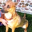 Thumbnail photo of Yvette #1
