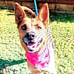 Thumbnail photo of Yvette #4