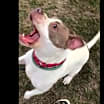 Thumbnail photo of Jed #4