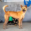 Thumbnail photo of Manima #3