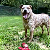 Thumbnail photo of River #3