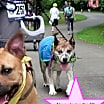 Thumbnail photo of Nova Girl #2