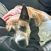 Thumbnail photo of Nova Girl #3