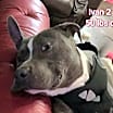 Thumbnail photo of Ivan #2