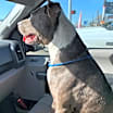 Thumbnail photo of Ivan #3