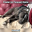 Thumbnail photo of Ivan #4