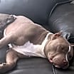 Thumbnail photo of Kato #2