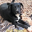 Thumbnail photo of Jack Daniels #3