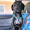 Thumbnail photo of Quigley #2
