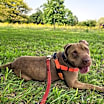 Thumbnail photo of Max #2